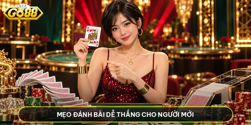 Mẹo Đánh Bài Dễ Thắng Cho Người Mới